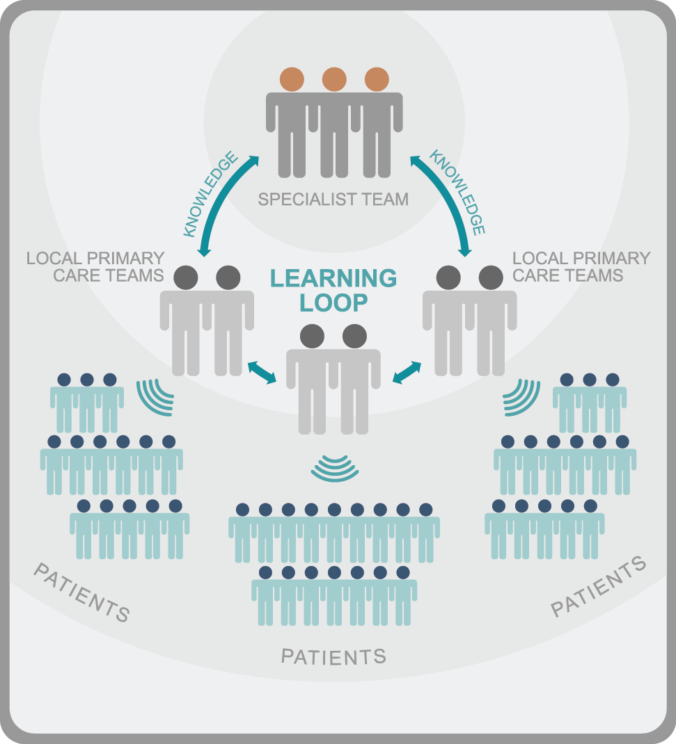 ECHO learning loop